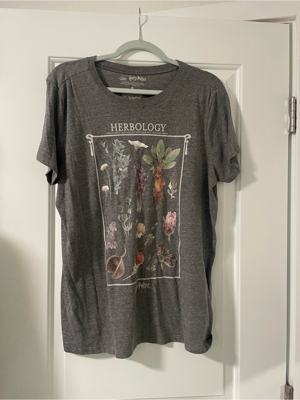 Torrid Harry Potter 'Herbology' Graphic Tee - Charcoal Gray